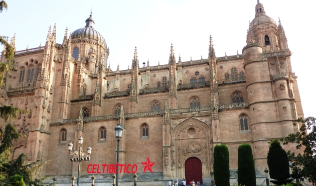 P1100378