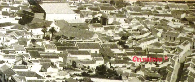 cinema-jardín1
