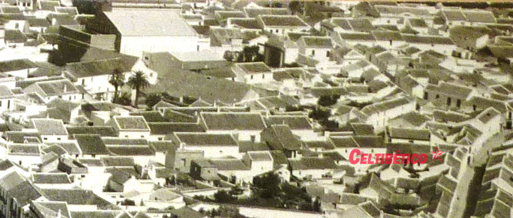 cinema-jardín1