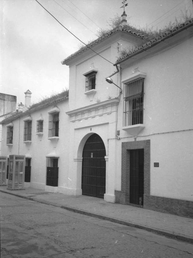 Palma8916