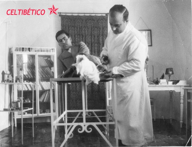 Papá curando2
