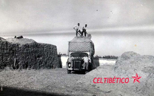 268- 1951a