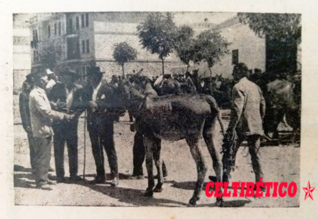 guadalgenil 7-9-62